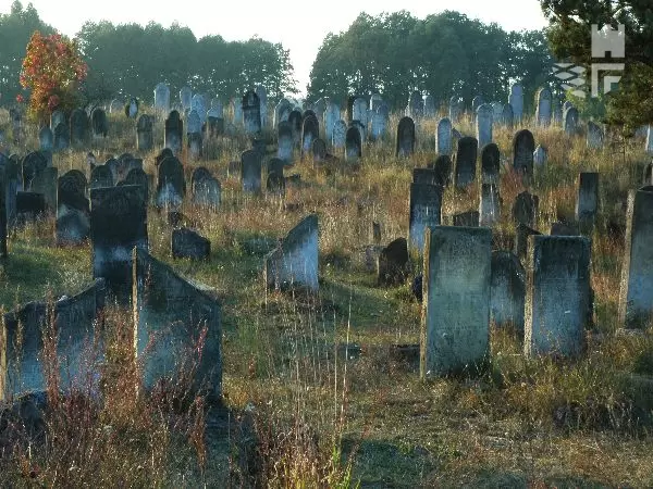 Judaika- zabytkowy kirkut, jeden z najwiÄkszych i najciekawszych jurajskich cmentarzy.